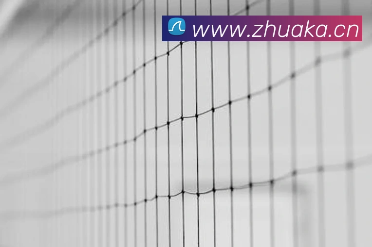 hth华体官方版下载服务体系